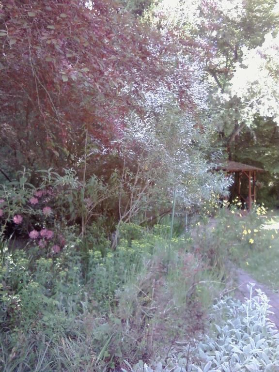 Fairview Manor Bed And Breakfast Ben Lomond Exteriér fotografie